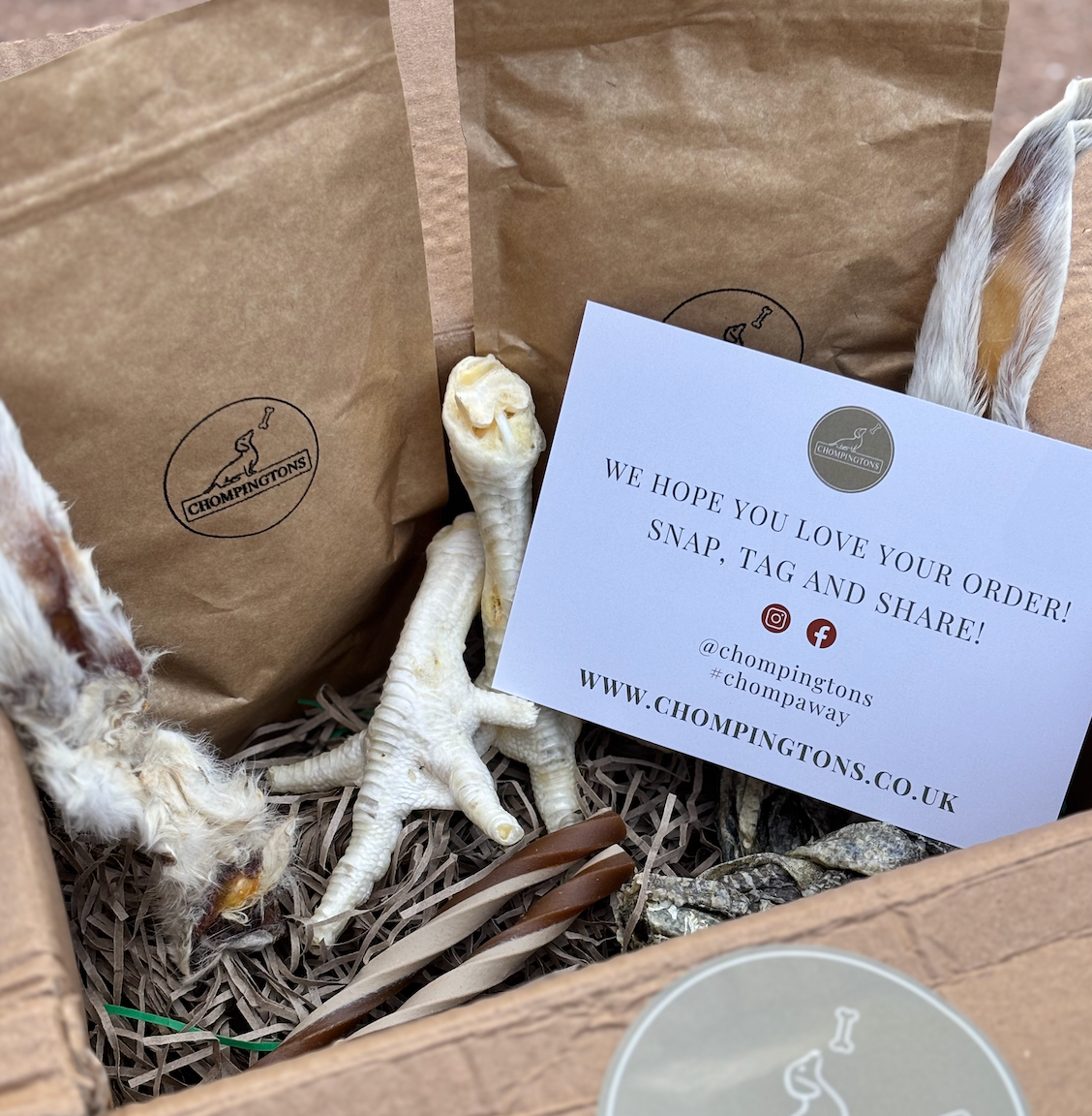 Puppy's First Treat Box